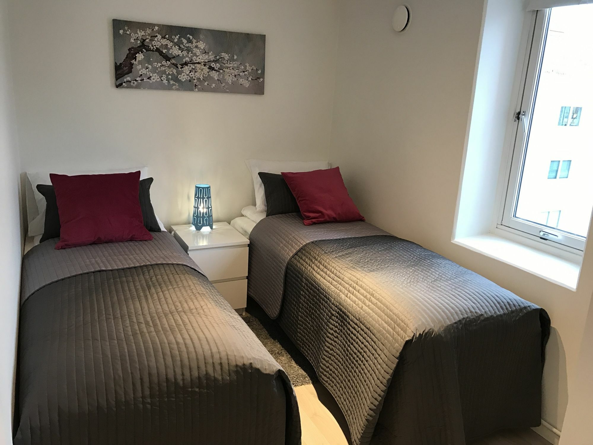 Sonderland Apt - Smalgangen 19 オスロ エクステリア 写真